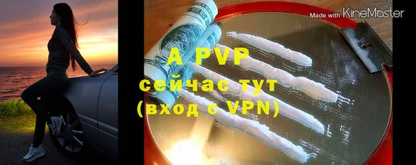 амф Богданович