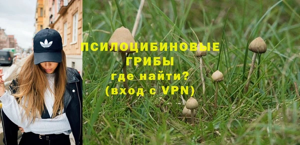 spice Белокуриха