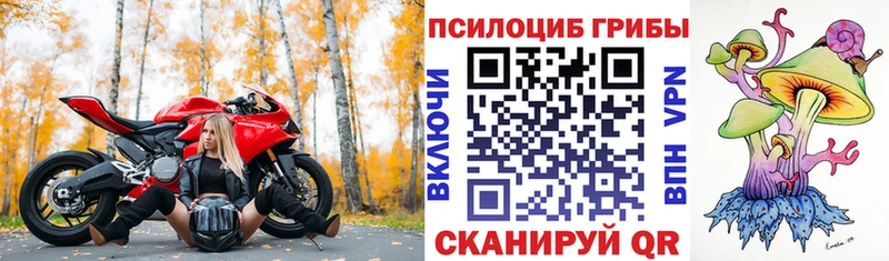 Галлюциногенные грибы GOLDEN TEACHER  Плёс 