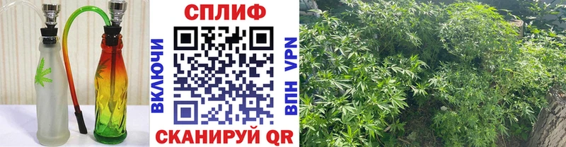 где найти   блэк спрут ссылки  Конопля OG Kush  Плёс 